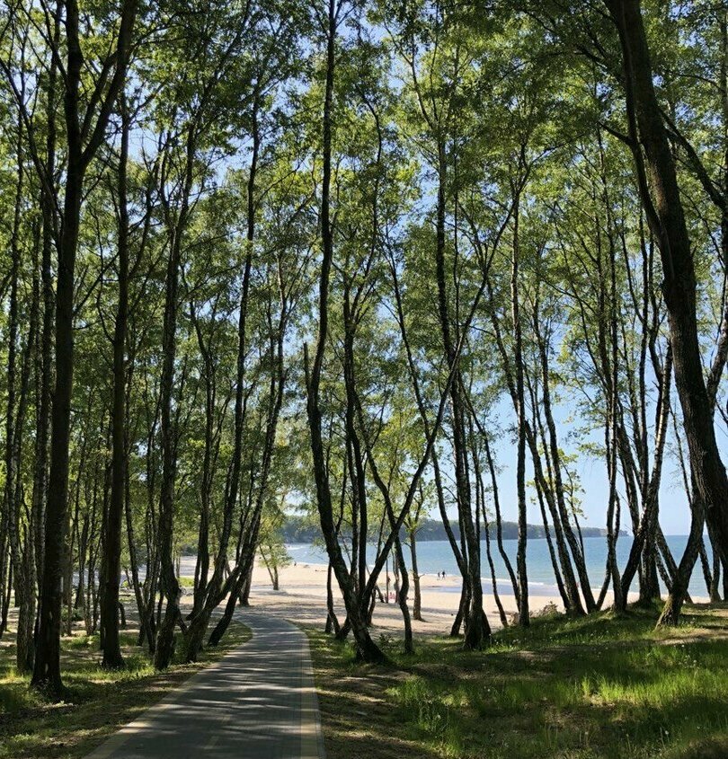 квартиры посуточно в Зеленограде квартиры посуточно в Зеленограде